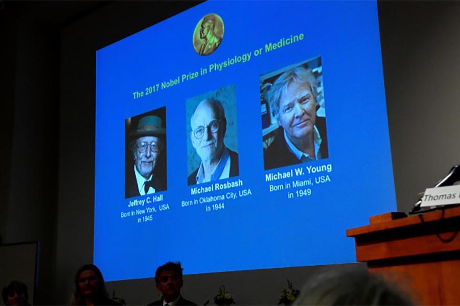 'Biological clock' scientists win Nobel Medicine Prize