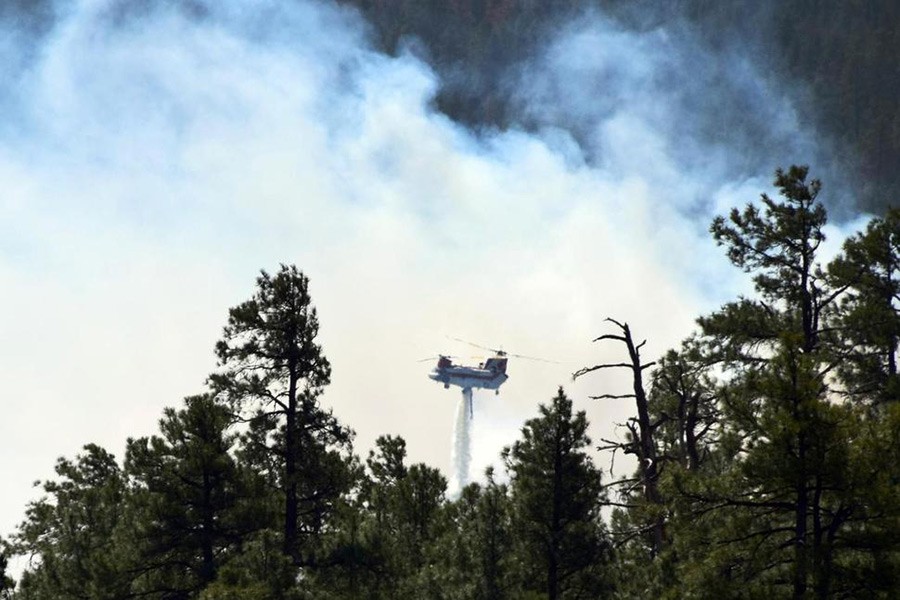Illegal campfire sparked Arizona wildfire: US officials