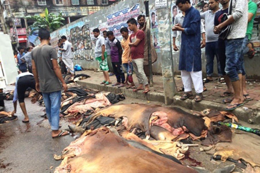 Low prices put rawhide traders in jeopardy