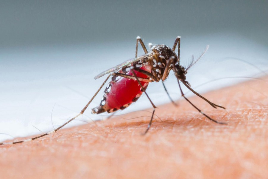 New initiative for eradicating malaria in Asia-Pacific