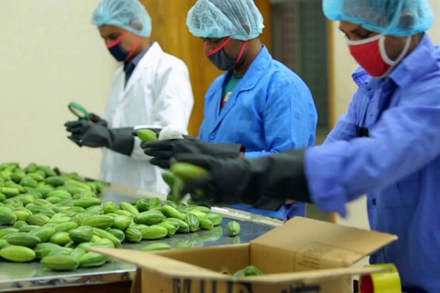 Govt relaxes contract farming term for non-European markets