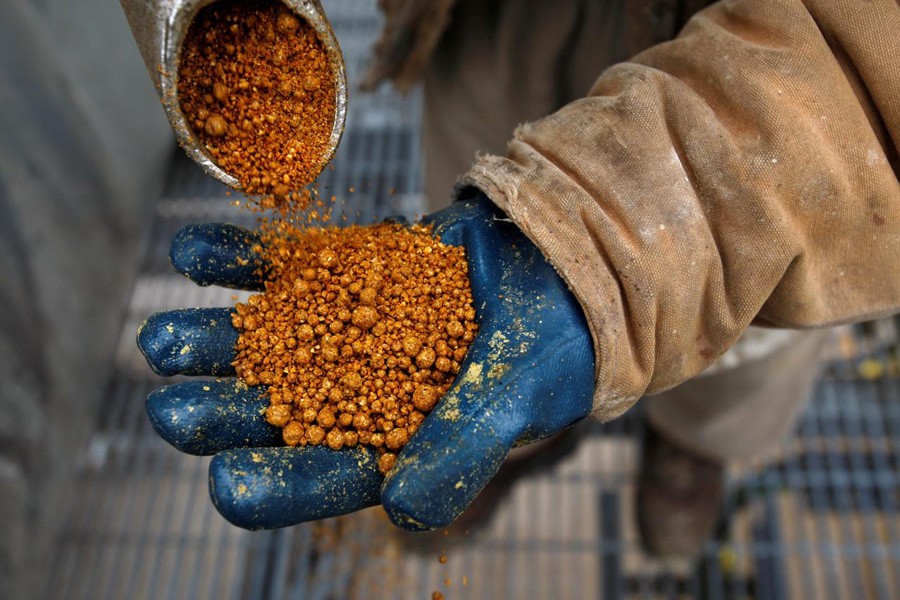 China to review anti-dumping  tariffs on US distillers grains