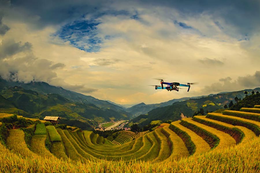 Five ways we can feed the world in 2050