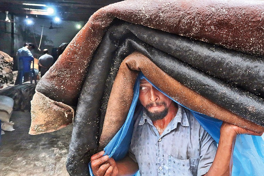 A worker carrying a headload of salted rawhide for a wholesaler at Posta in the city on Thursday — FE photo by Shafiqul Alam