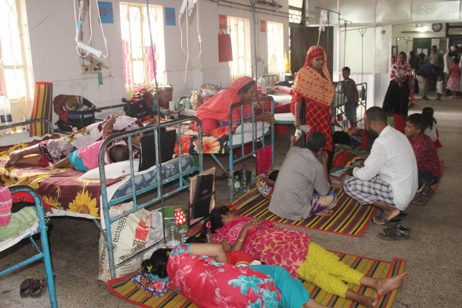 Almost 800 dengue patients hospitalised in last 24 hours