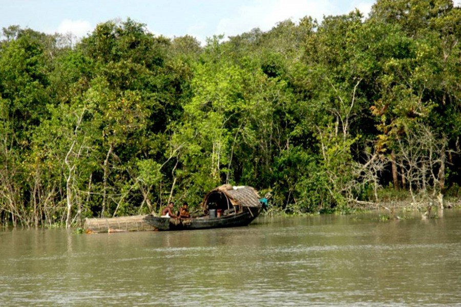 Plan underway to monitor Sundarbans with drones