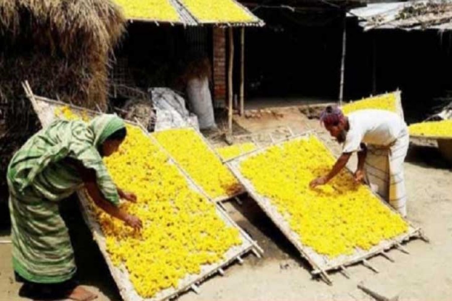Silk sector getting back lost glory in Rajshahi