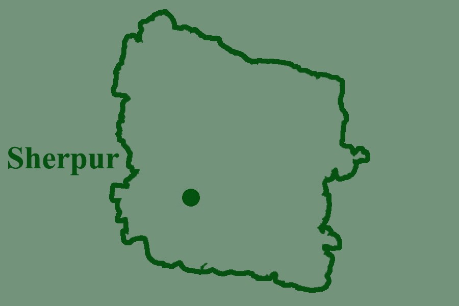 Three die as bus rams into auto-rickshaw
