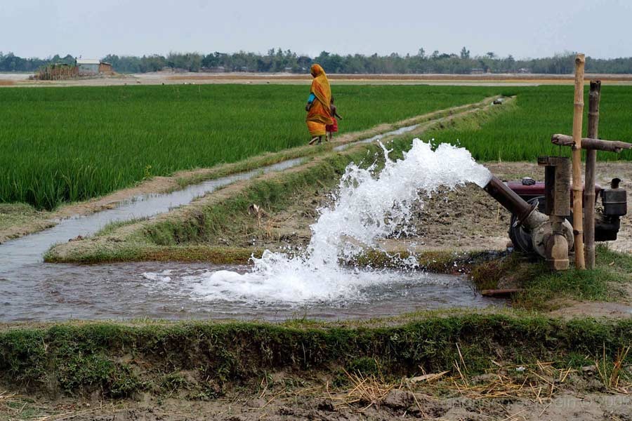Govt to replace diesel-run irrigation pumps with solar-powered ones
