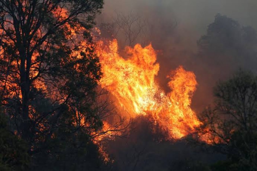 Travel warnings issued as fires ravage Australia