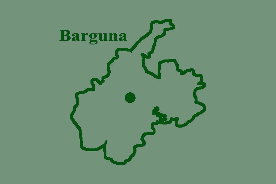 Three of a family die in Barguna road crash