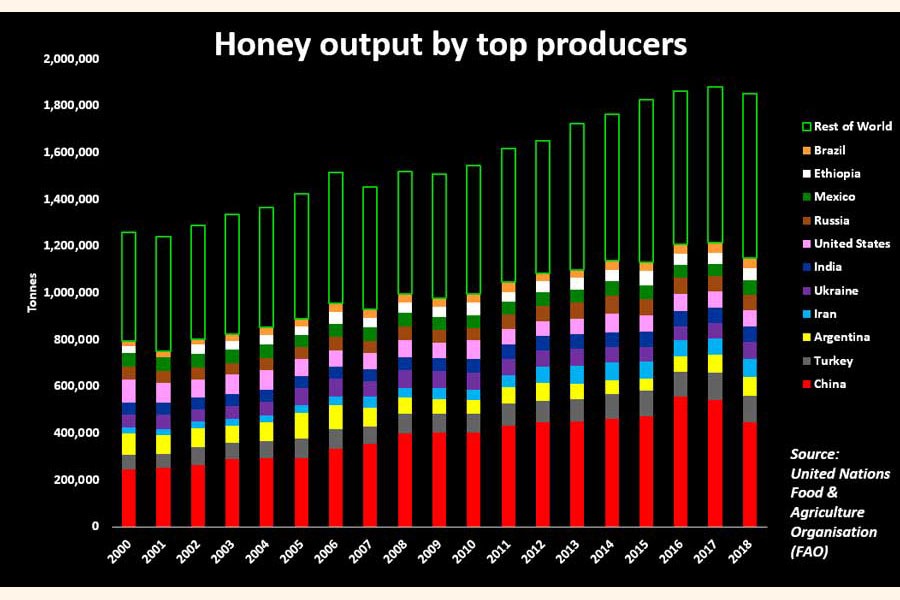 Coronavirus stings world's top honey makers with China beekeepers locked down