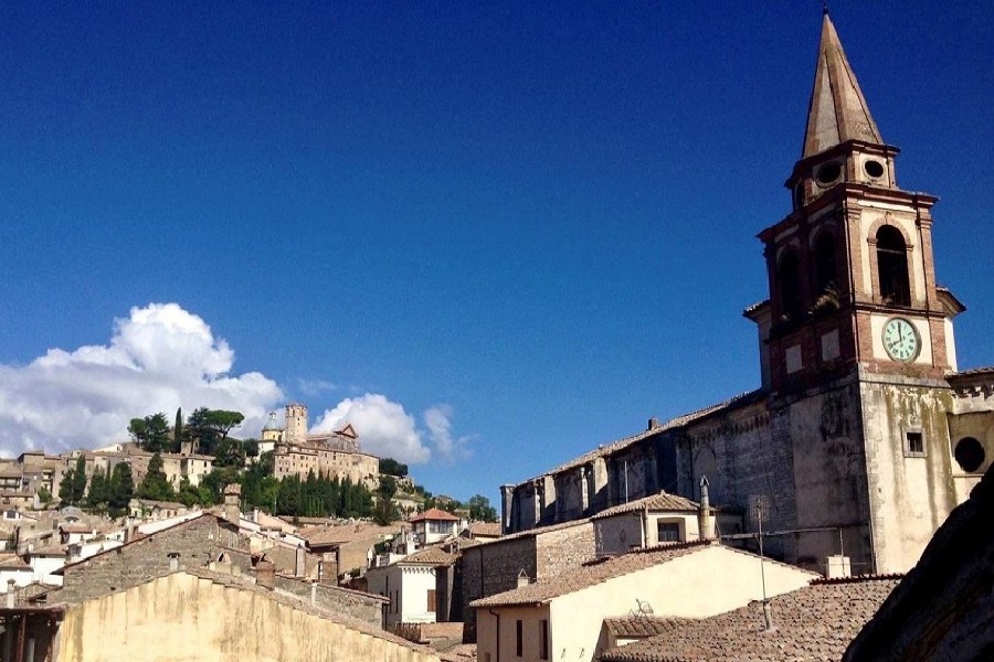 A view of the tiled roofs of Amelia, the small town in Italy's central Umbria region where Roberto Ferraro used to bake his cakes before the coronavirus outbreak shut down his pastry shop, is seen in this undated handout photo. — Reuters
