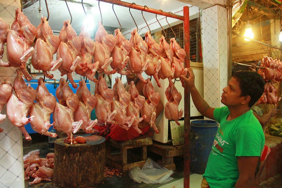 Undressed chicken seen hanging from hooks at a shop in city's Kaptan Bazar — Focus Bangla/File