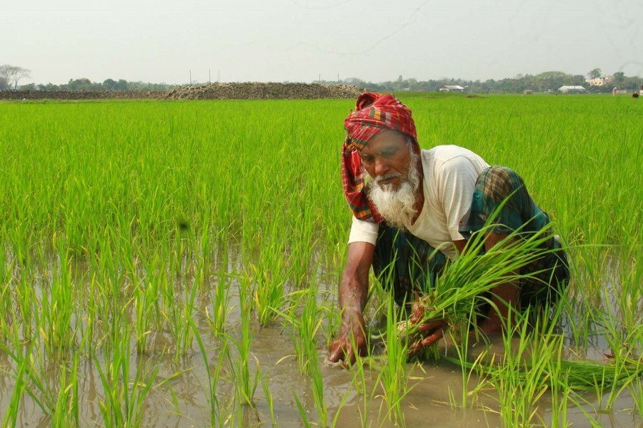 AmCham starts providing assistance to marginal farmers