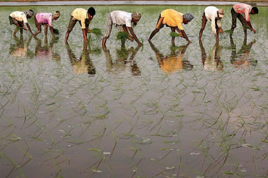 Signs of farm 'revolution' in India as coronavirus prompts change