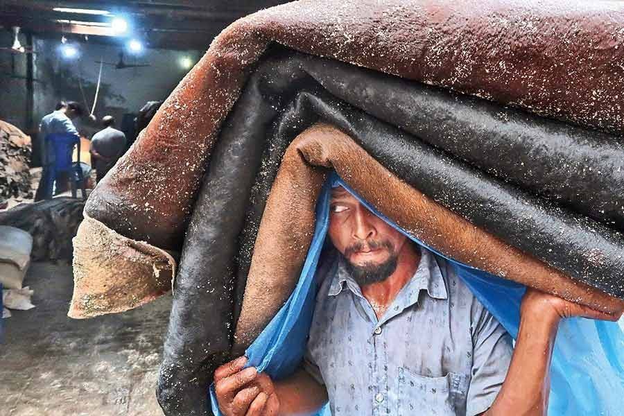 Ministry teams to monitor rawhide sales from Eid day