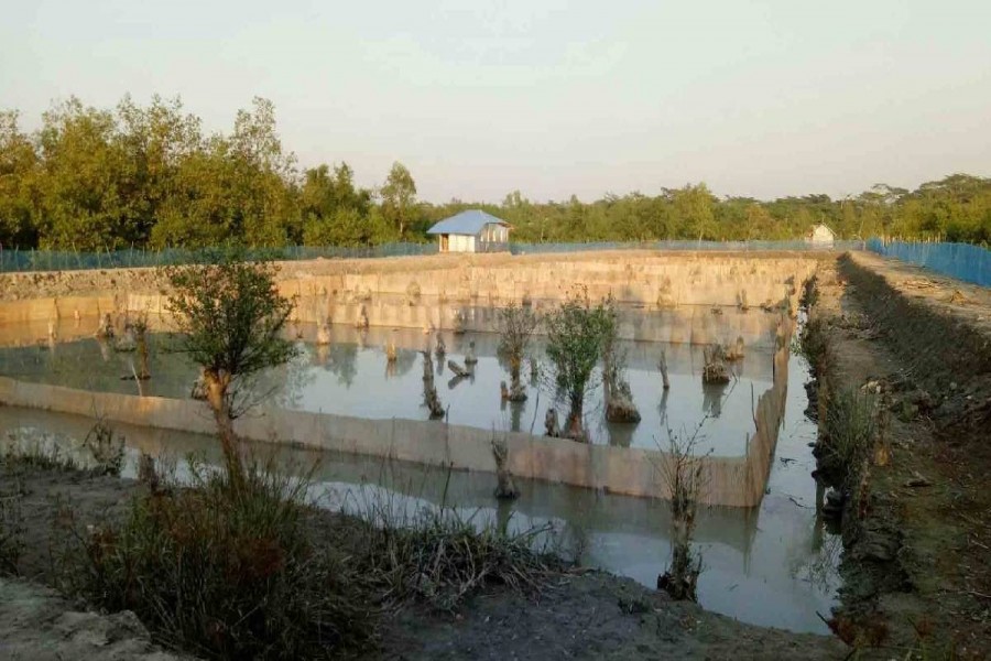 Khulna crab farmers eyeing post-lockdown resumption of export