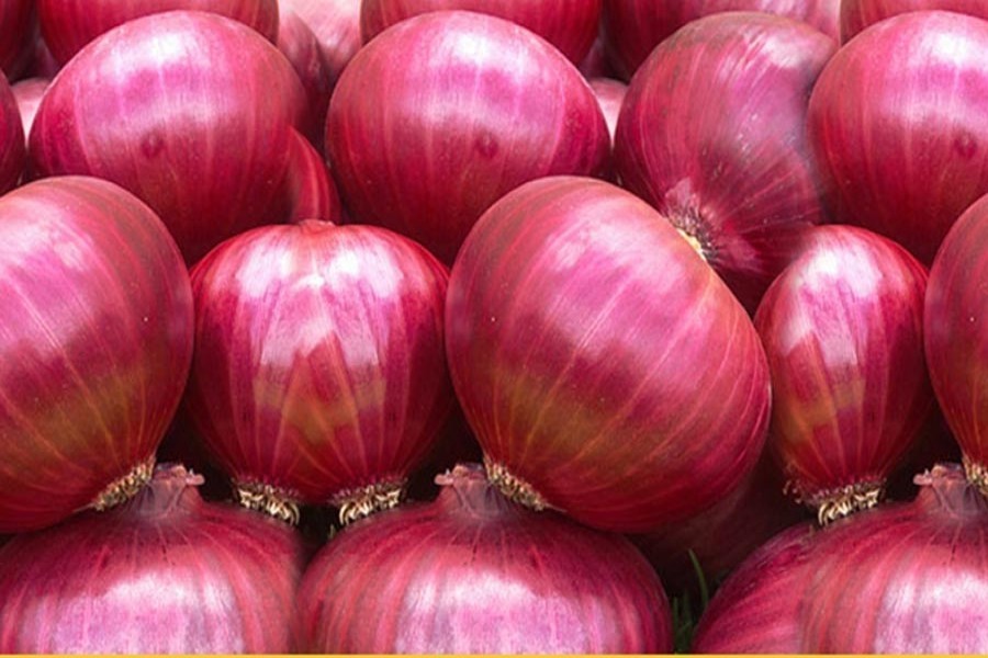 India bans onion exports