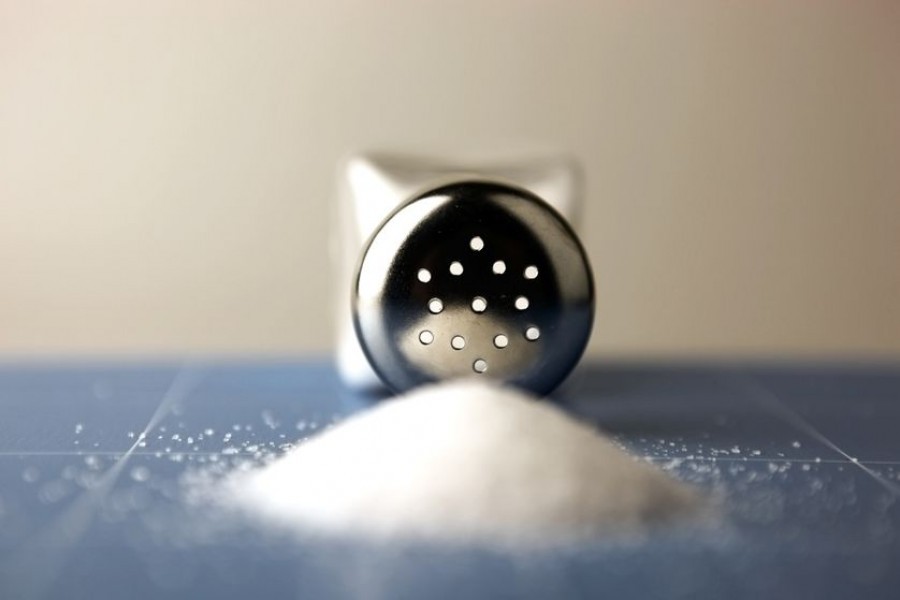 Draft law keeps punitive provisions for unregistered salt traders