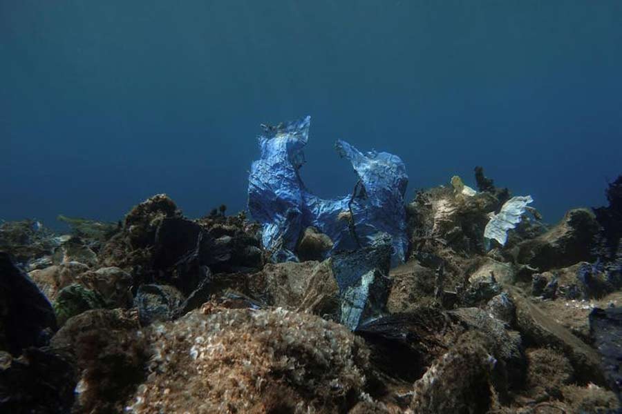 ‘14m tonnes of harmful microplastics polluting seafloor’
