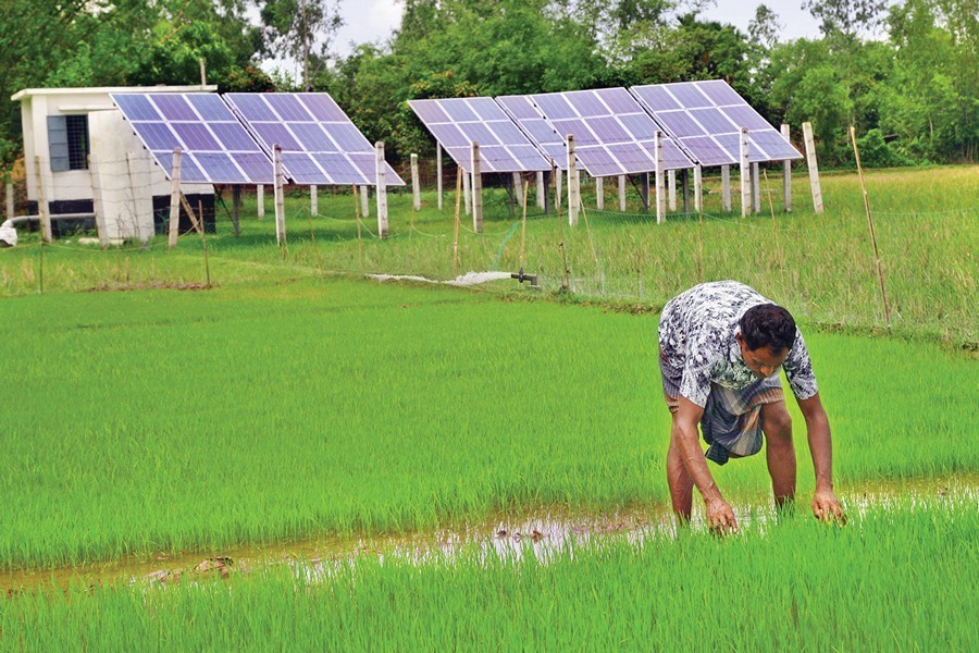Fund crisis thwarts growth of solar irrigation pumps