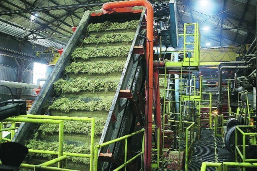 Nine mills to start sugarcane crushing, six others to remain shut