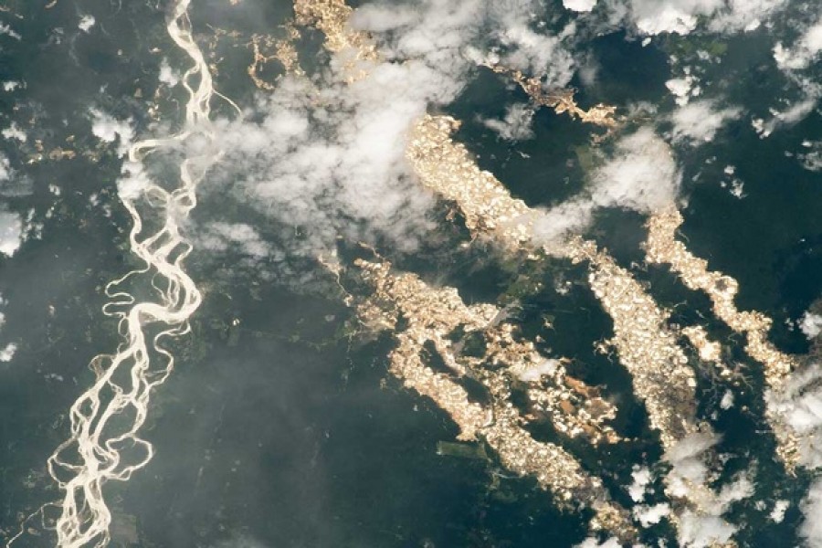 নাসার ছবিতে আমাজনের ‘সোনার নদী’
