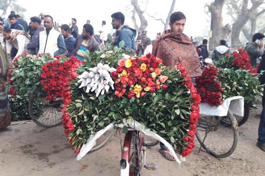 চার মাসে ২৫ কোটি টাকার ফুল বিক্রির সম্ভাবনা দেখছেন যশোরের চাষিরা