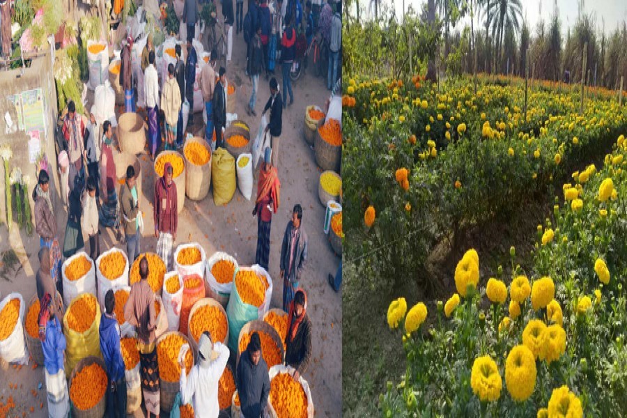 Pandemic hits Jashore flower growers' sales