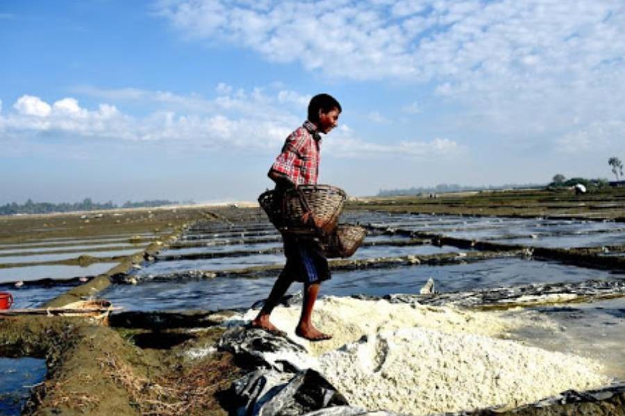 Official move to tighten grip on salt import