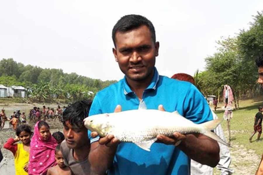 ভোলার পুকুরে পাওয়া গেল এক কেজি ওজনের ইলিশ
