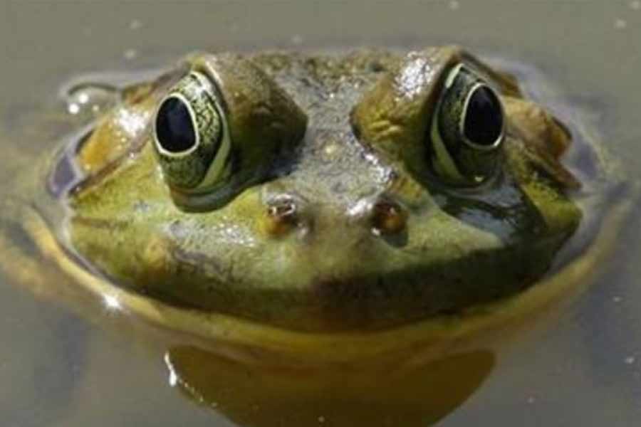-Reuters file photo