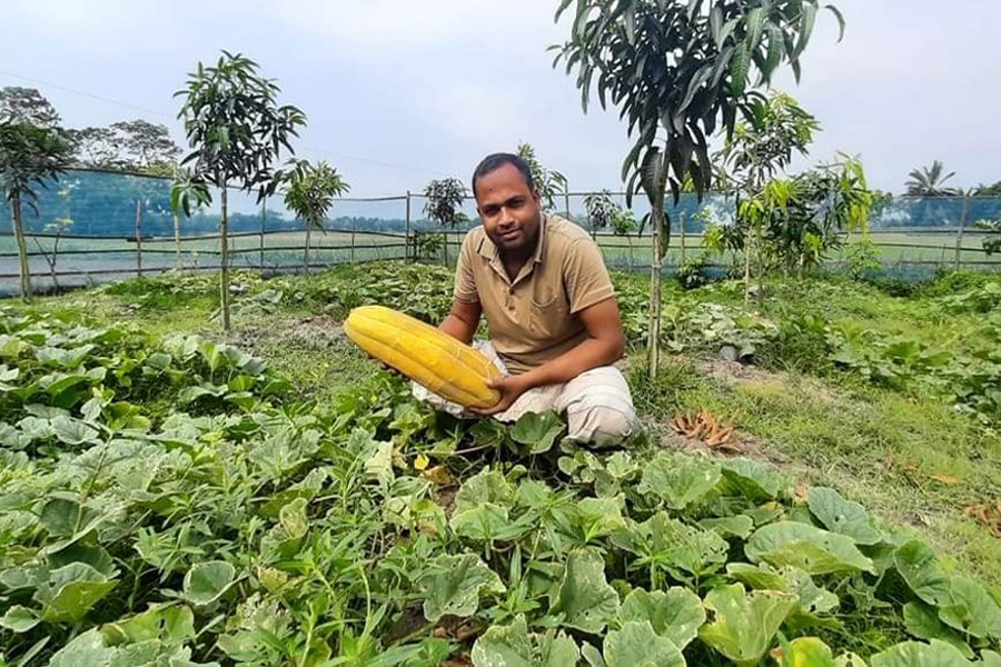 নিজ বাগানে ফলনকৃত বাঙ্গি হাতে ওয়াসিম