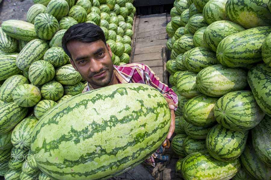 তরমুজ: 'ন্যায্যমূল্য' নিশ্চিত করতে চলছে ভ্রাম্যমান আদালতের অভিযান