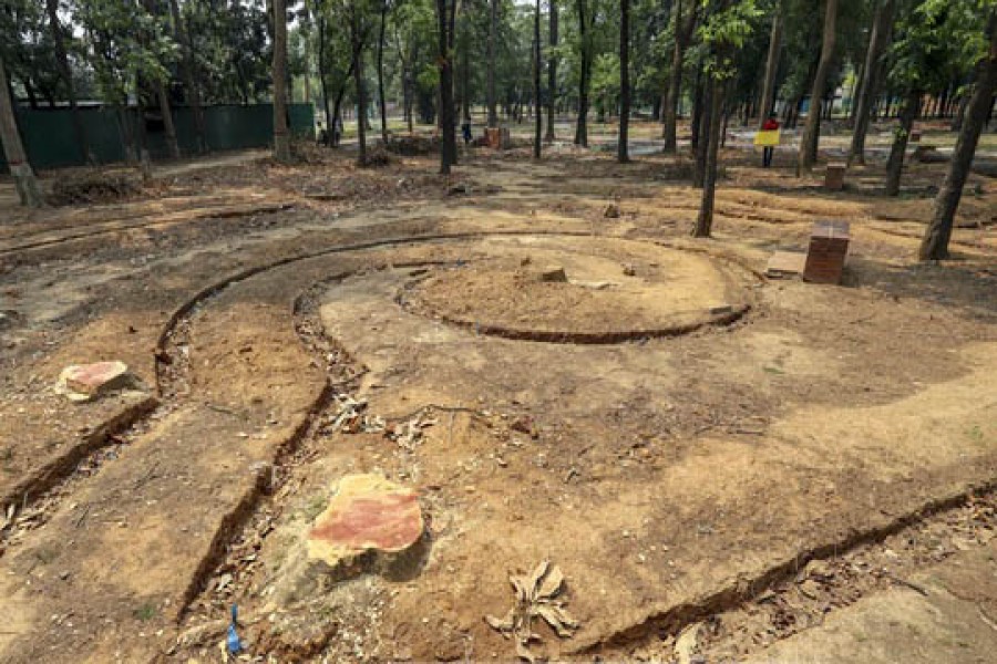 সোহরাওয়ার্দীতে ‘কিছু গাছ’কাটা হয়েছে স্মৃতিকেন্দ্র গড়তে, জানালো মুক্তিযুদ্ধ মন্ত্রণালয়