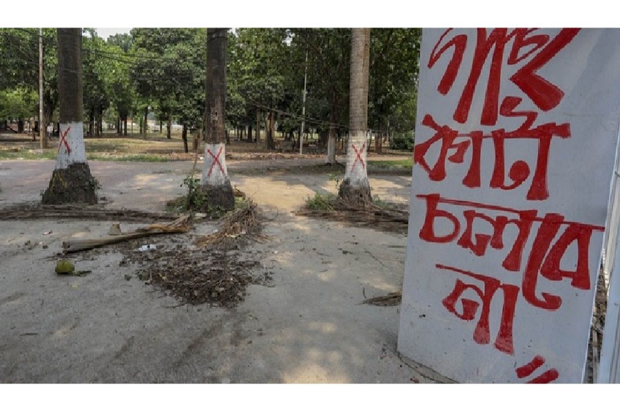 জিয়া যখন গাছ কেটেছিলেন, পরিবেশবাদীরা কোথায় ছিলেন: কাদের