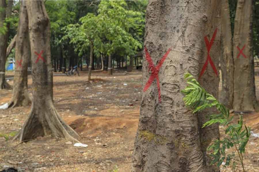 ‘সোহরাওয়ার্দী উদ্যানে যতগুলো গাছ কাটা হবে তার ১০ গুণ গাছ লাগানো হবে’