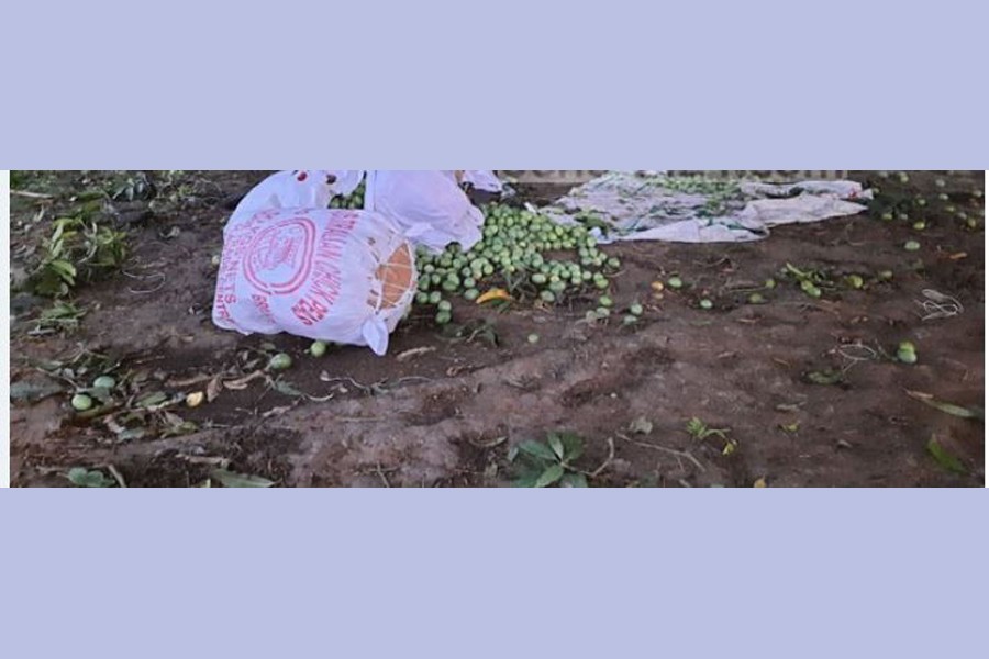 রাজশাহীতে বজ্রপাতে প্রাণ গেল ৪ জনের