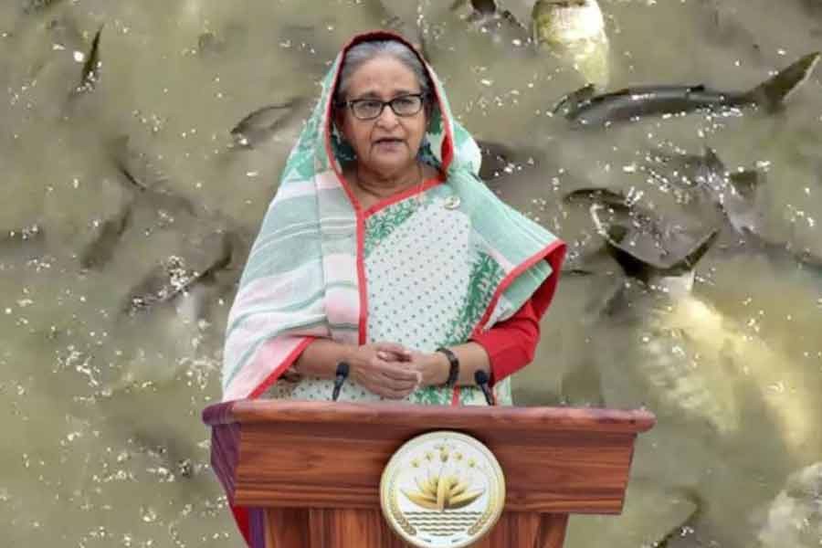 লেখাপড়া শিখে চাকরির পেছনে না ছুটে তরুণরা মাছ চাষ করতে পারে: প্রধানমন্ত্রী