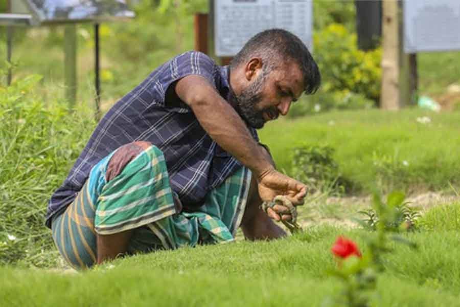 রায়েরবাজারের বধ্যভূমি কবরস্থানে কবর পরিচর্যা; কোভিড আক্রান্ত যারা মারা যাচ্ছেন, তাদের দাফন হচ্ছে এখানে। ছবি: বিডিনিউজ টোয়েন্টিফোর ডটকম