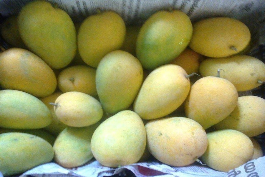আম কি ওজন বাড়ায়?
