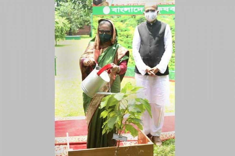 অন্তত তিনটি করে গাছ লাগান: প্রধানমন্ত্রী