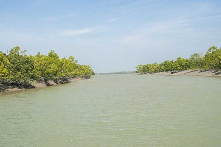 সুন্দরবন ‘সম্প্রসারিত হচ্ছে’: প্রধানমন্ত্রী