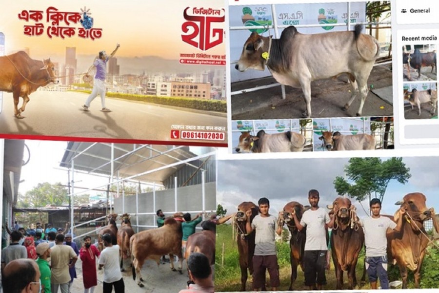 কোরবানী ঈদ: জমে উঠছে অনলাইন পশুর হাট, কয়েক দিনে বিক্রি প্রায় দুই লাখ গরু, ছাগল