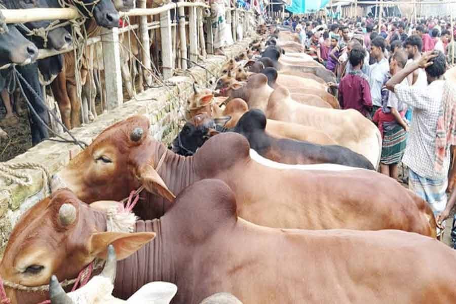ফাইল ছবি