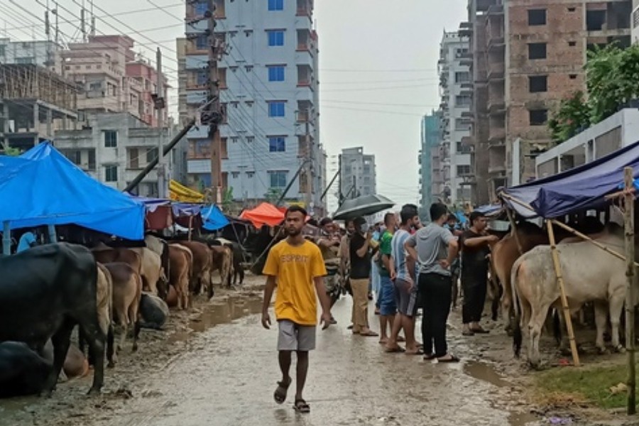 ছবিঃ সংগৃহীত