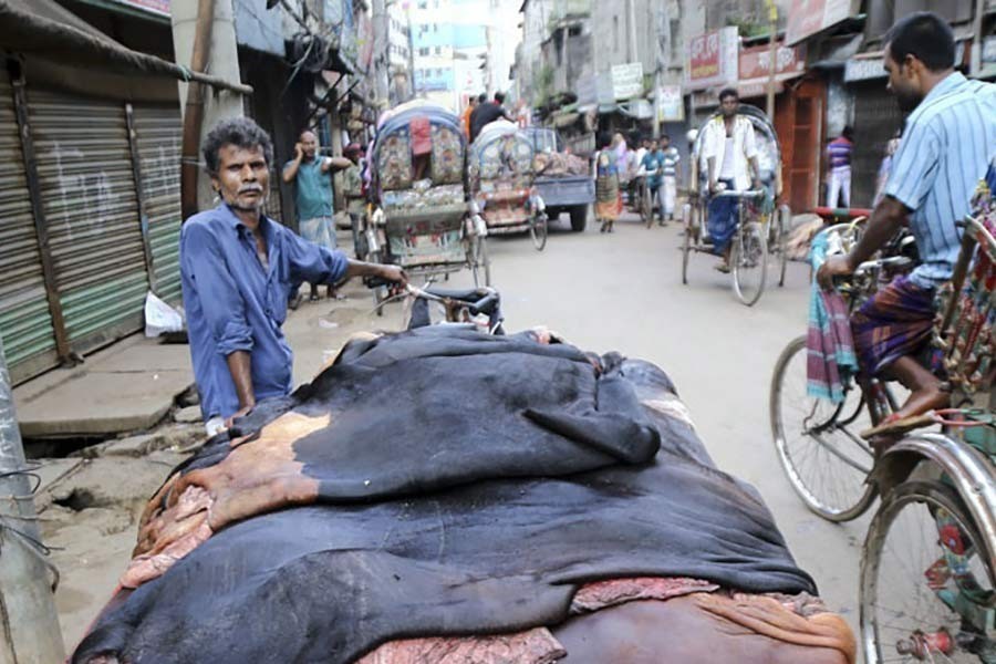 ফাইল ছবি