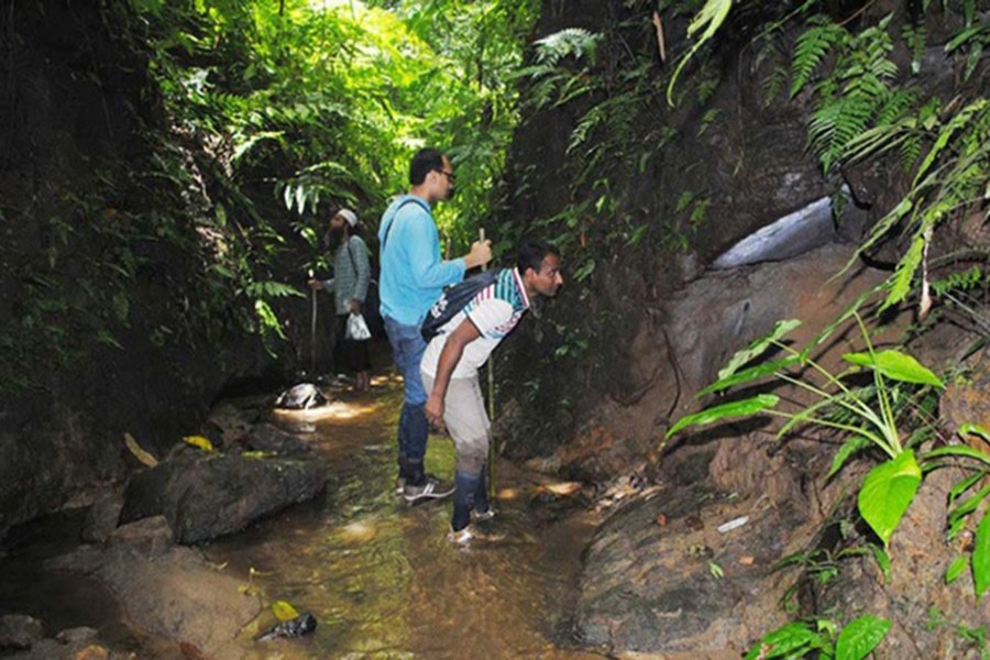 লাঠিটিলায় হচ্ছে দেশের তৃতীয় সাফারি পার্ক