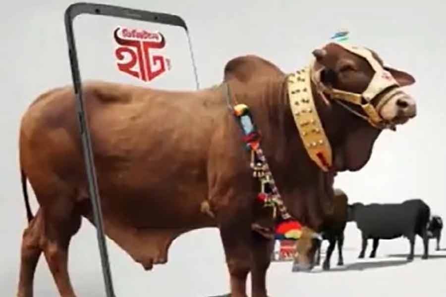 শেষ সময়ে ডিজিটাল হাটে পশু বিক্রি কমছে
